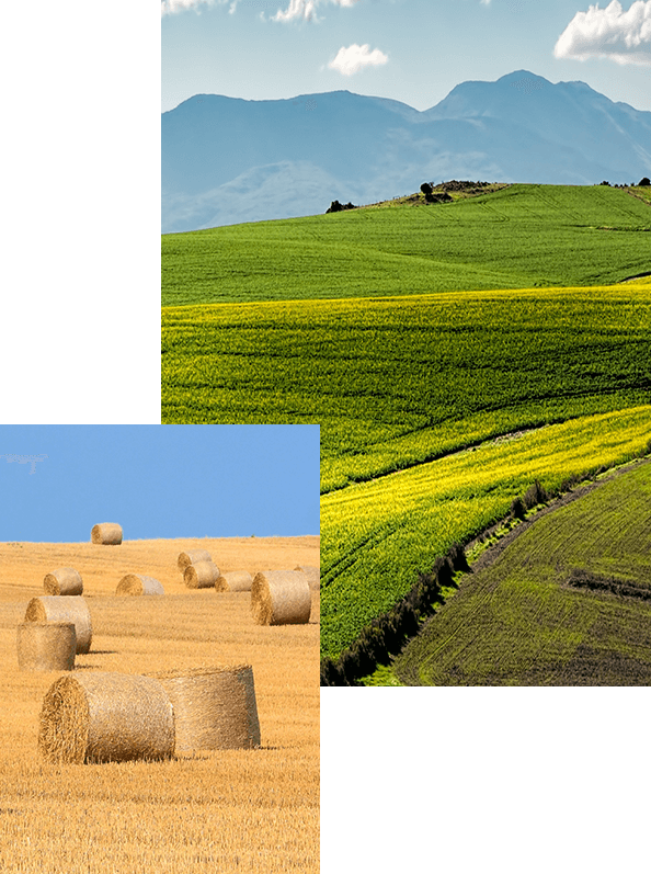 acidos humicos y fulvicos hectareas