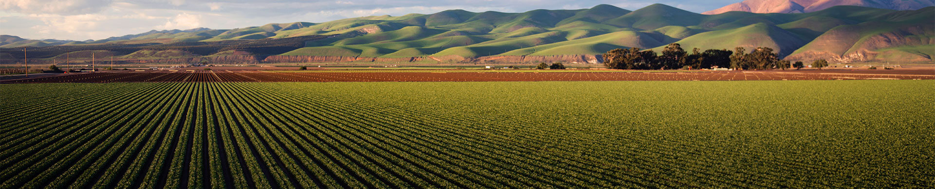 fertilidad del suelo