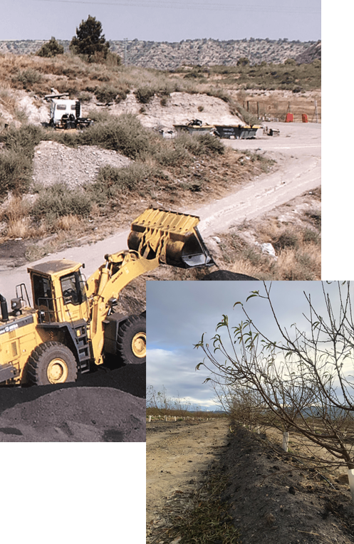 leonardita ecologica en polvo